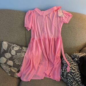 Pink Sheer Dress